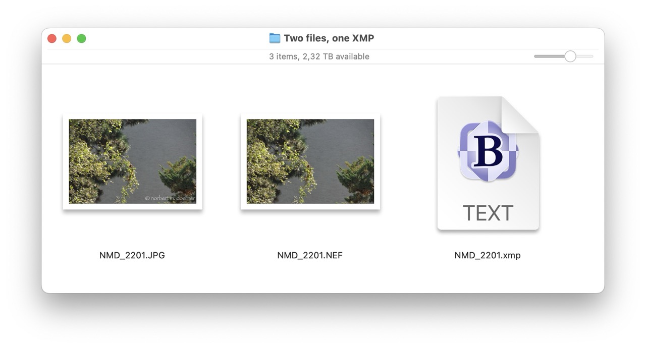 Two Files, one XMP.jpg