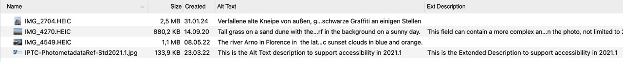 List View - Alt Text.jpg