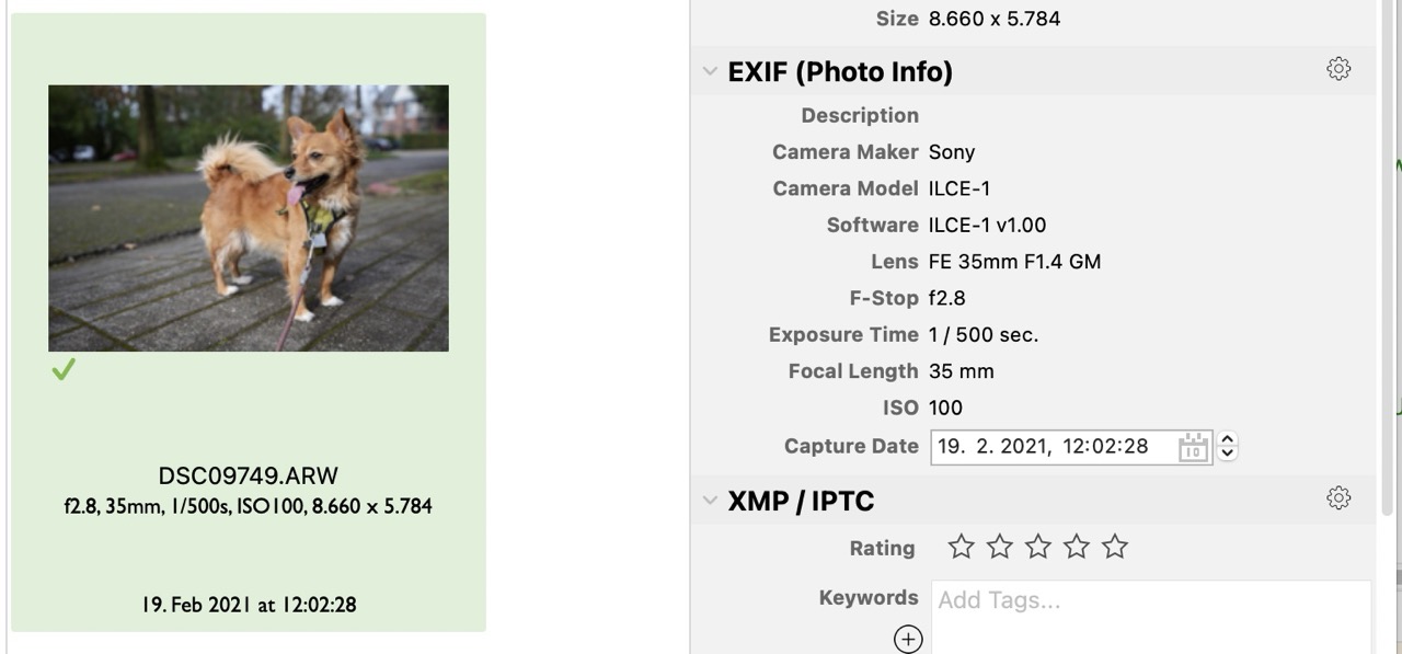 Sony ARW thumb.jpg