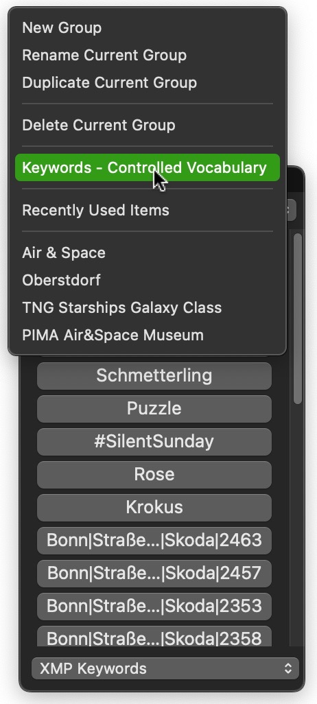 QuickTags Controlled Vocabulary Command.jpg