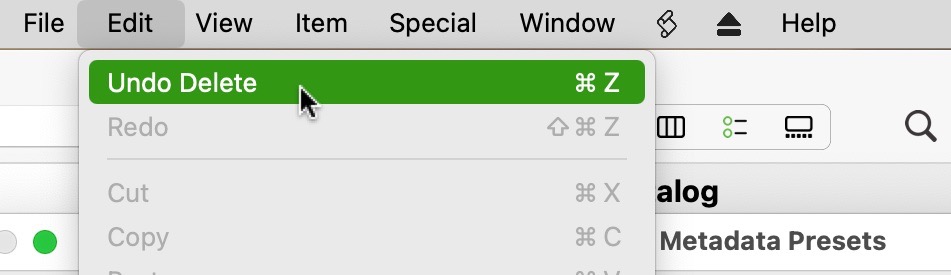 Undo Delete Metadata Preset.jpg